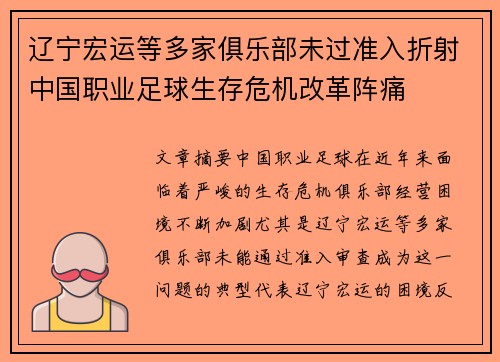 辽宁宏运等多家俱乐部未过准入折射中国职业足球生存危机改革阵痛 辽宁宏运等多家俱乐部未过准入折射中国职业足球生存危机改革阵痛
