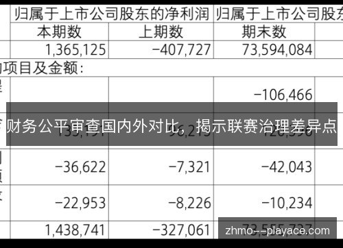 财务公平审查国内外对比,揭示联赛治理差异点 财务公平审查国内外对比,揭示联赛治理差异点